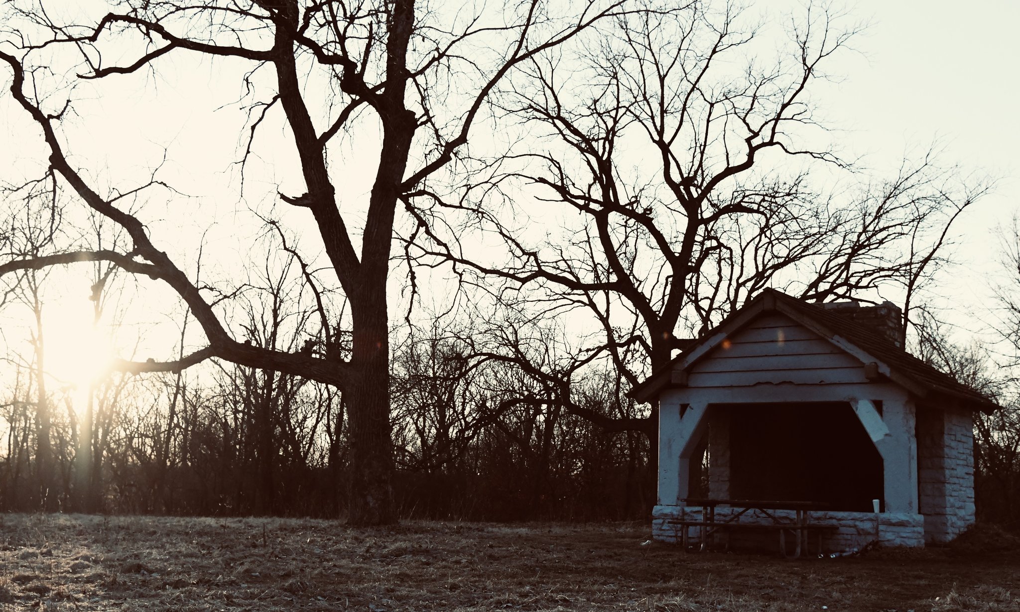 21-abandoned-white-shed-with-bare-tree.jpg