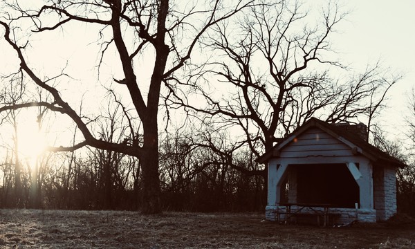 21-abandoned-white-shed-with-bare-tree.jpg