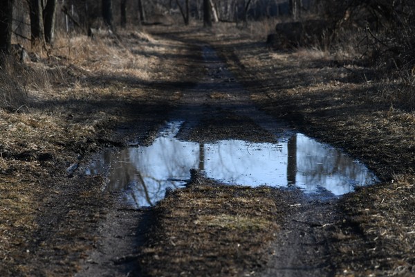 99-muddy-trail-puddle-reflecting-sky.jpg